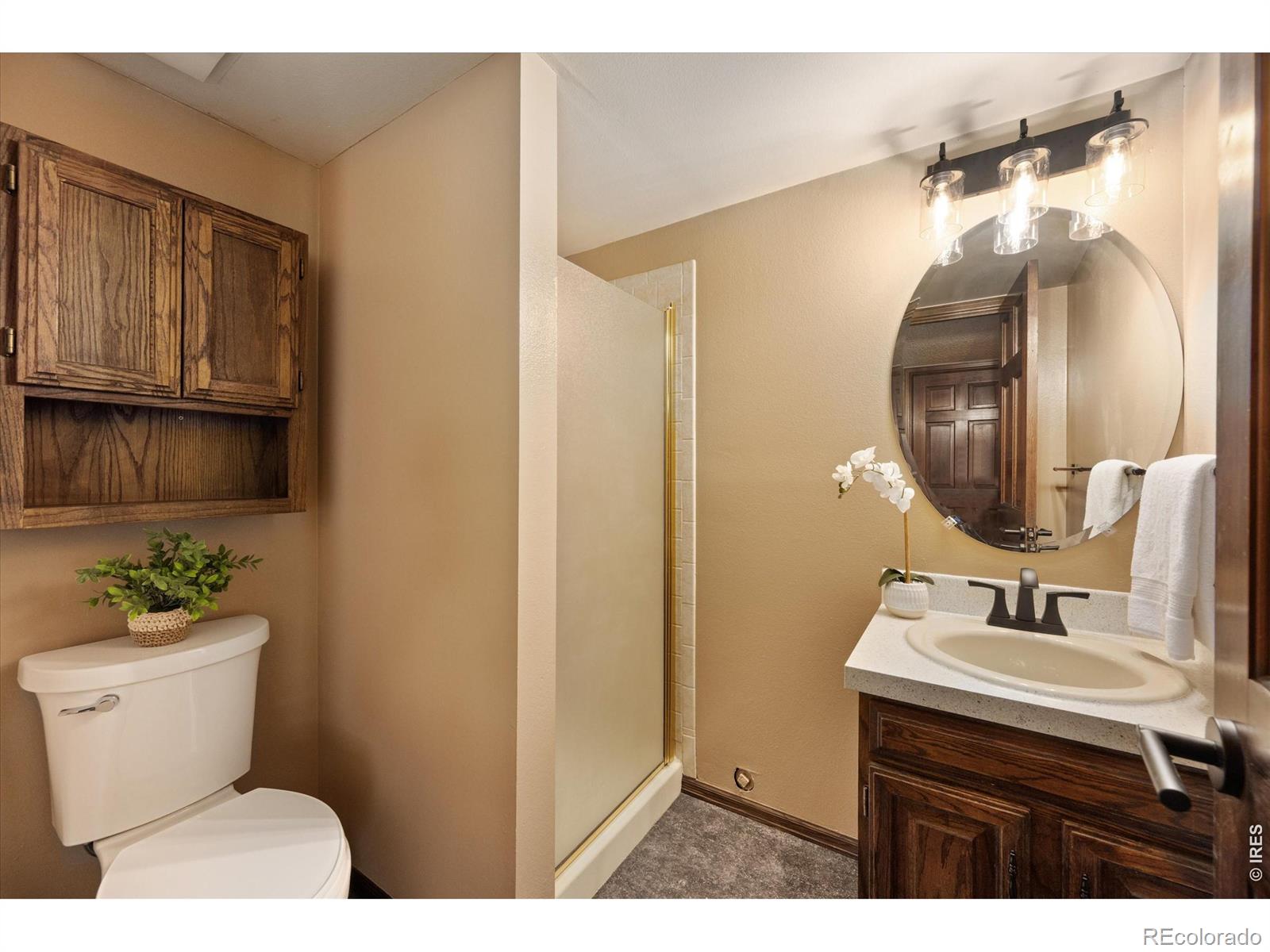 MLS Image #19 for 3231  nelson lane,fort collins, Colorado