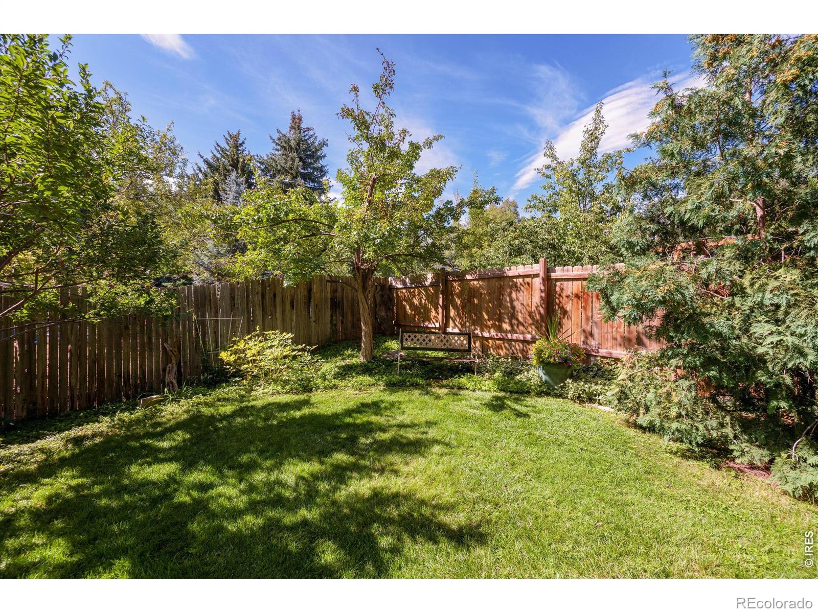 MLS Image #45 for 3231  nelson lane,fort collins, Colorado