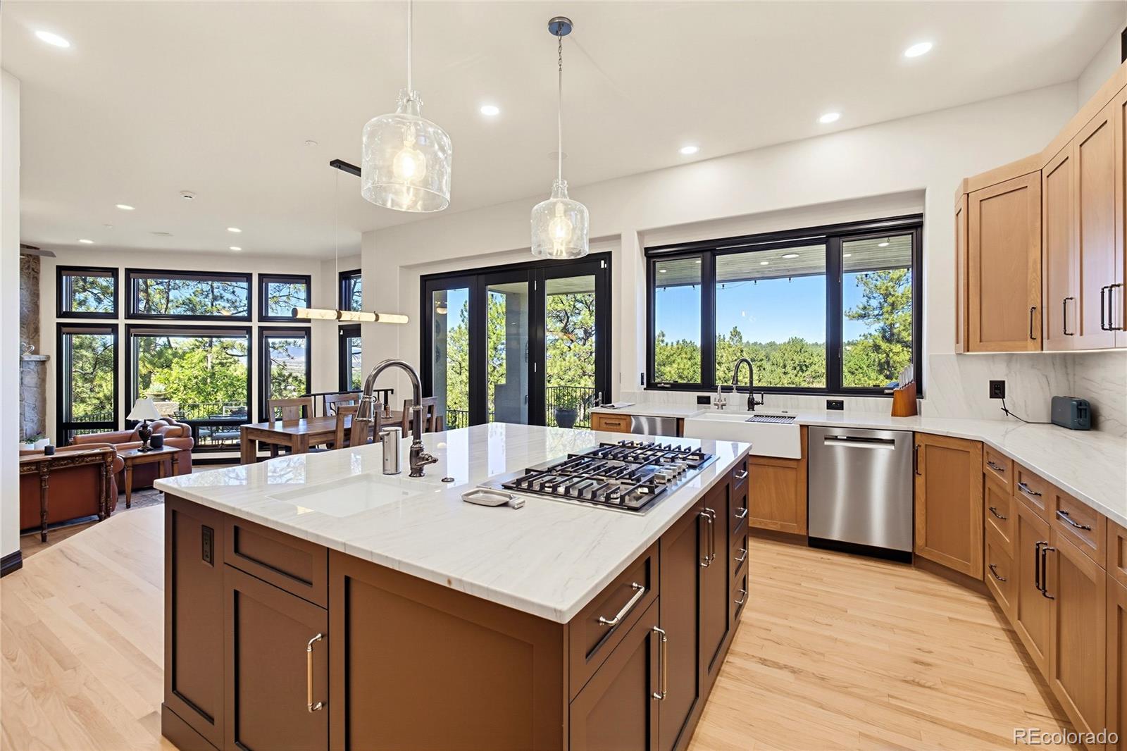 MLS Image #10 for 355  morning star way,castle rock, Colorado
