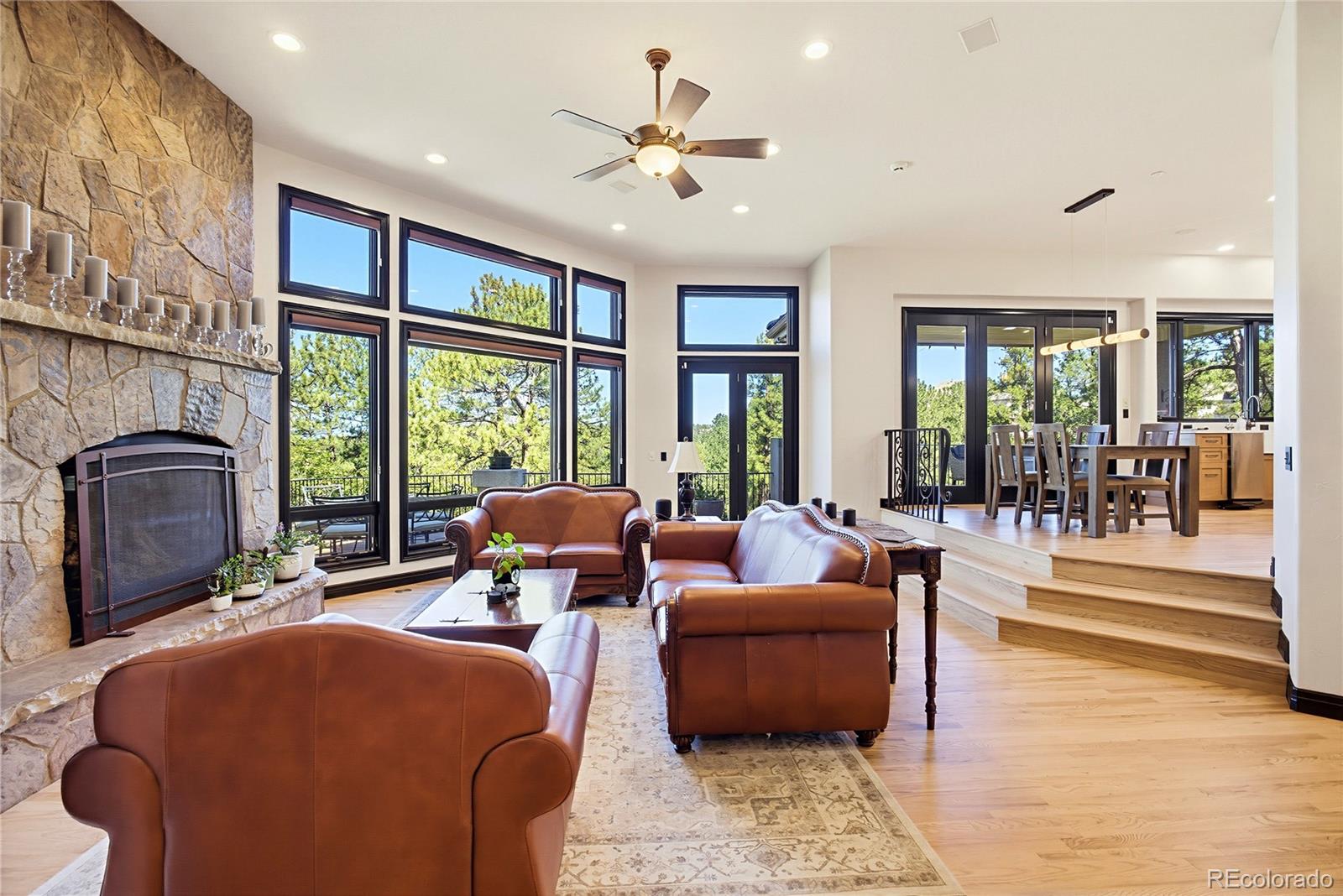 MLS Image #14 for 355  morning star way,castle rock, Colorado