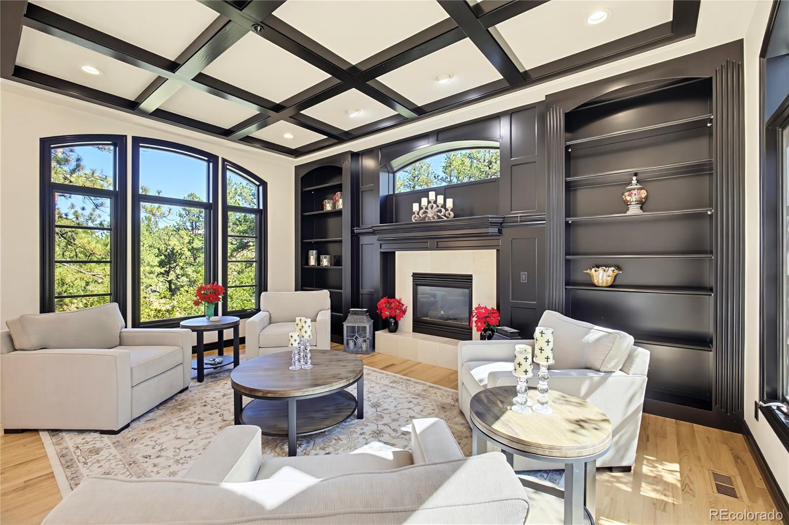 MLS Image #4 for 355  morning star way,castle rock, Colorado