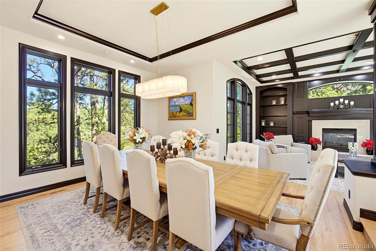 MLS Image #8 for 355  morning star way,castle rock, Colorado