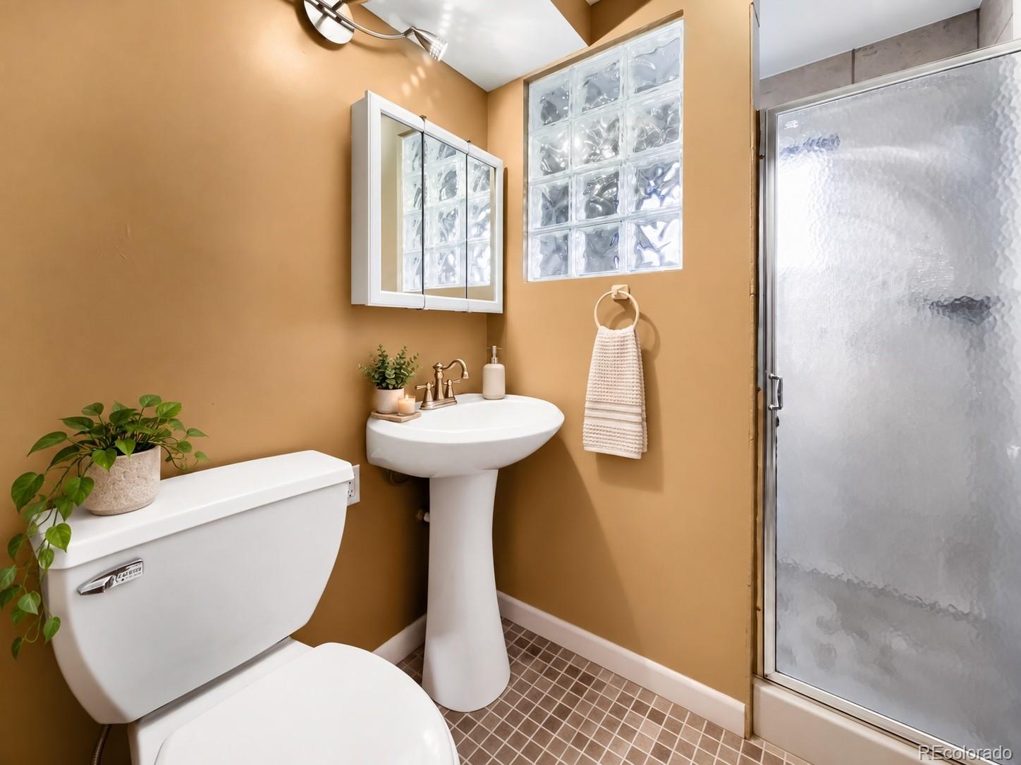 MLS Image #12 for 7520  wilson court,westminster, Colorado