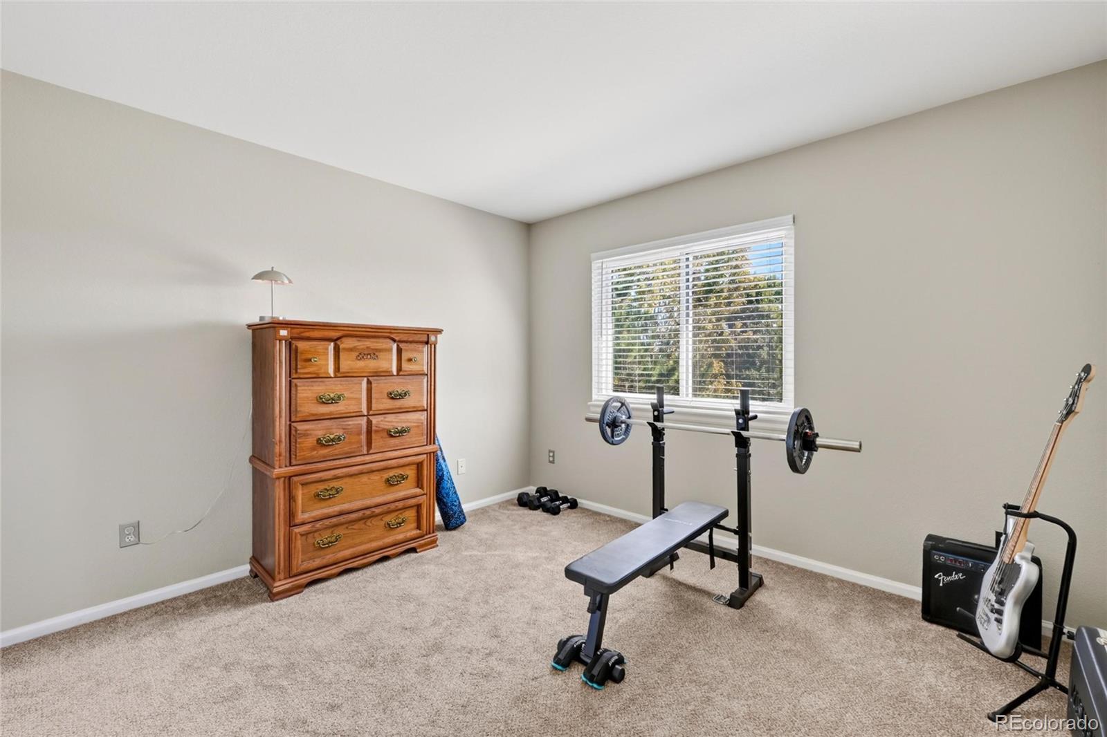 MLS Image #18 for 11154  bayne way,parker, Colorado