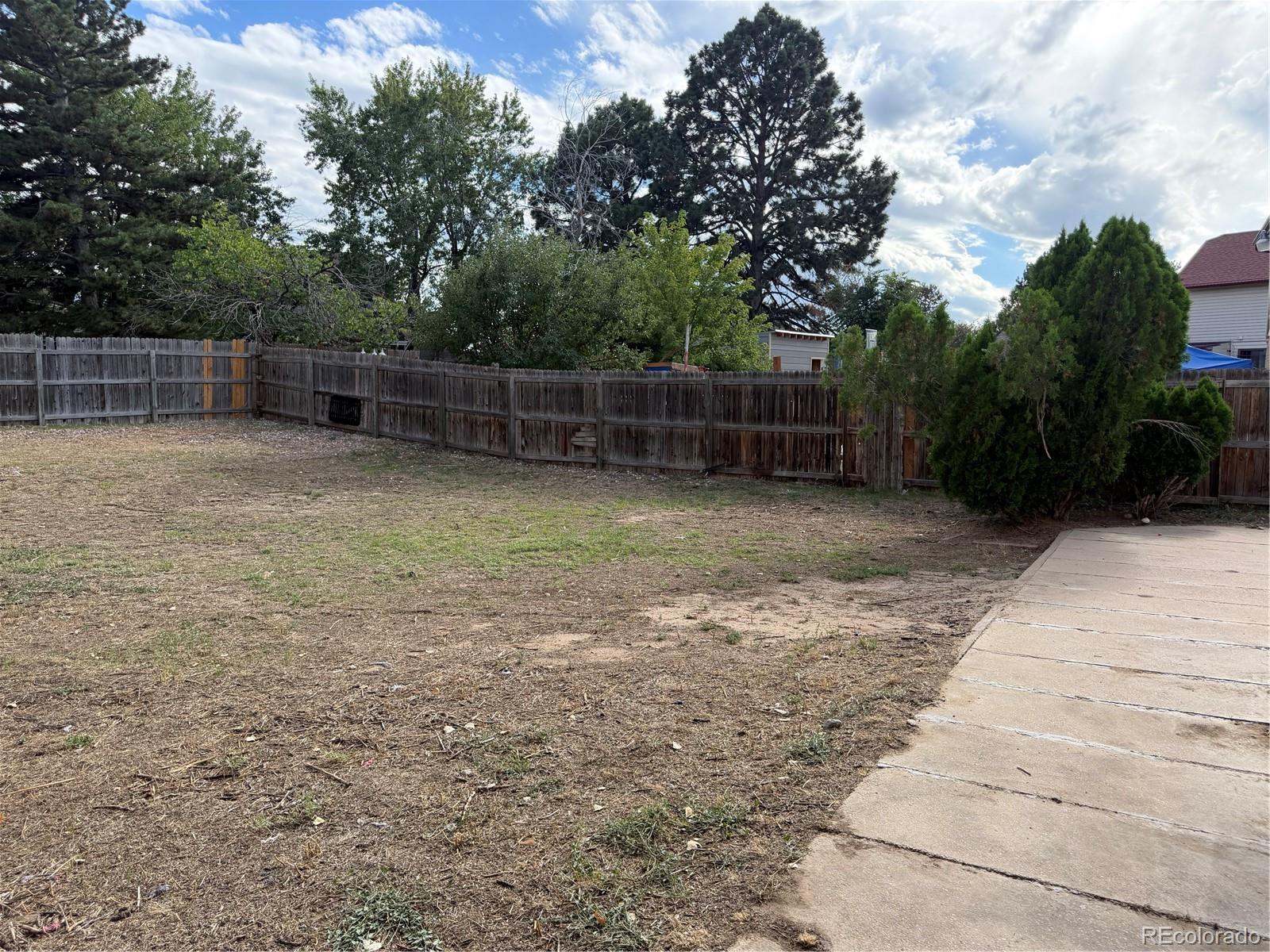 MLS Image #43 for 4680  crown boulevard,denver, Colorado