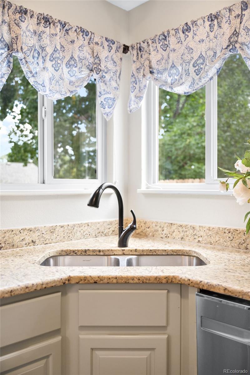 MLS Image #11 for 7274 s sheephorn mountain,littleton, Colorado