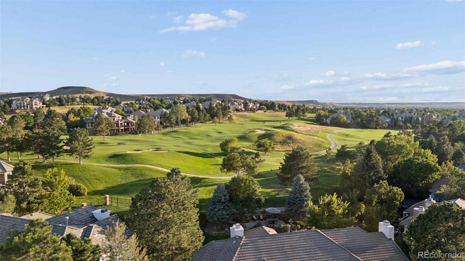 MLS Image #49 for 8571  colonial drive,lone tree, Colorado