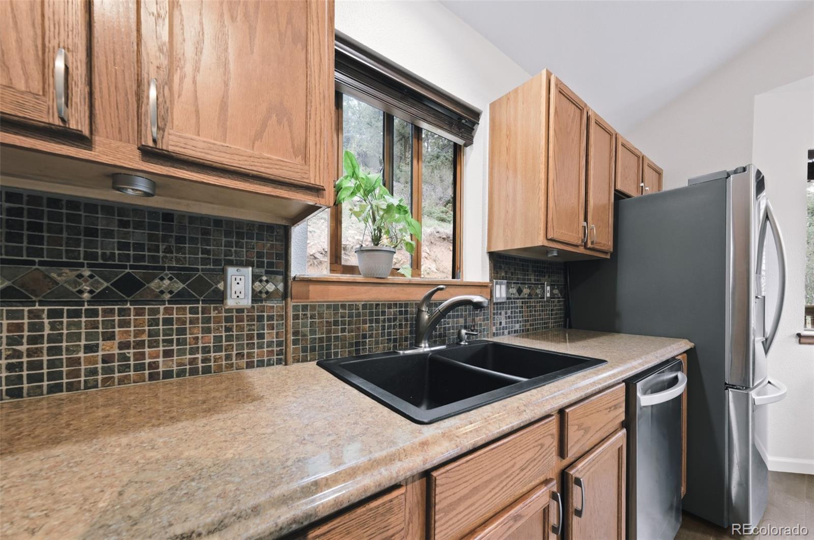 MLS Image #21 for 961  roland drive,bailey, Colorado