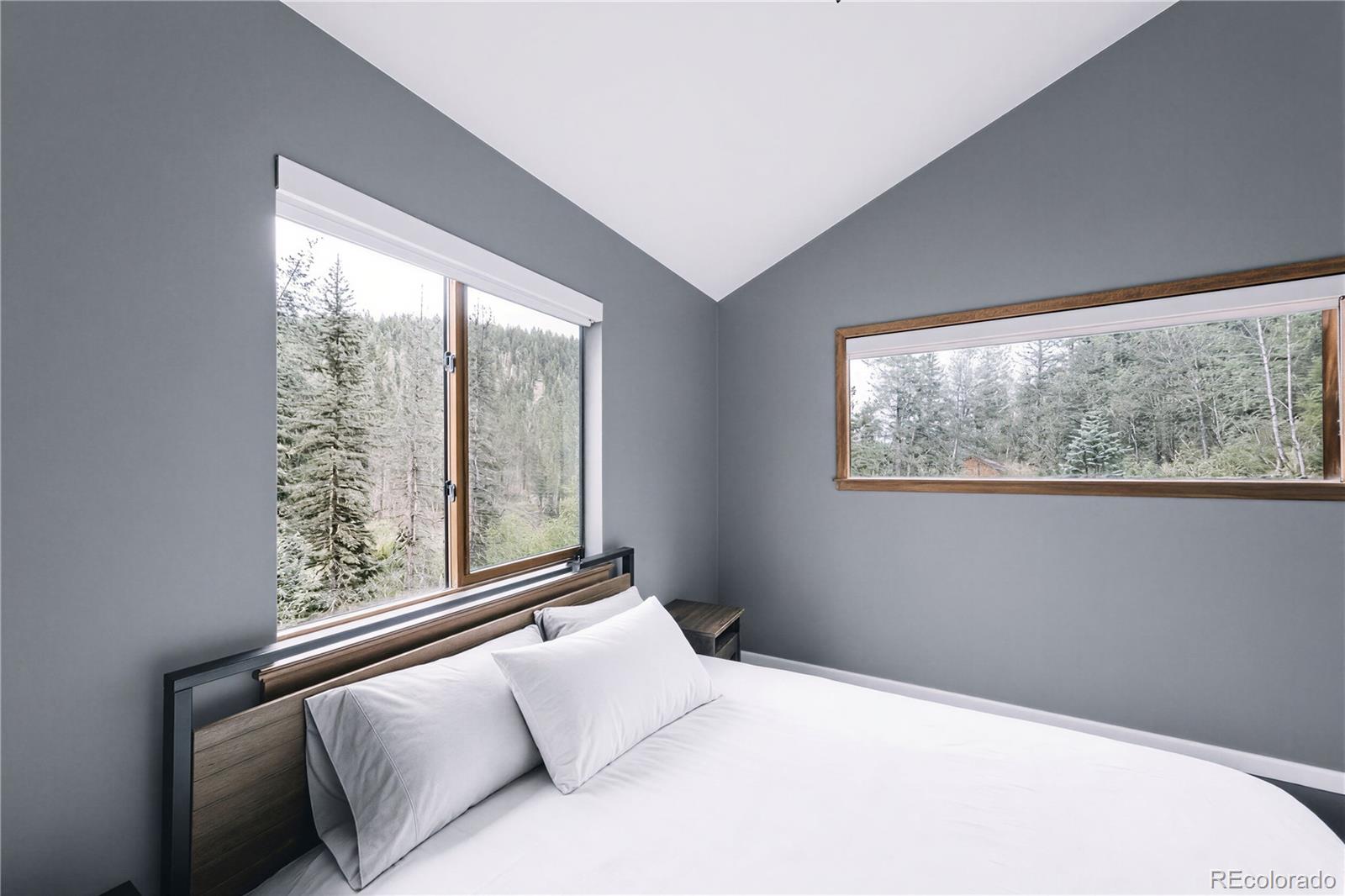 MLS Image #29 for 961  roland drive,bailey, Colorado