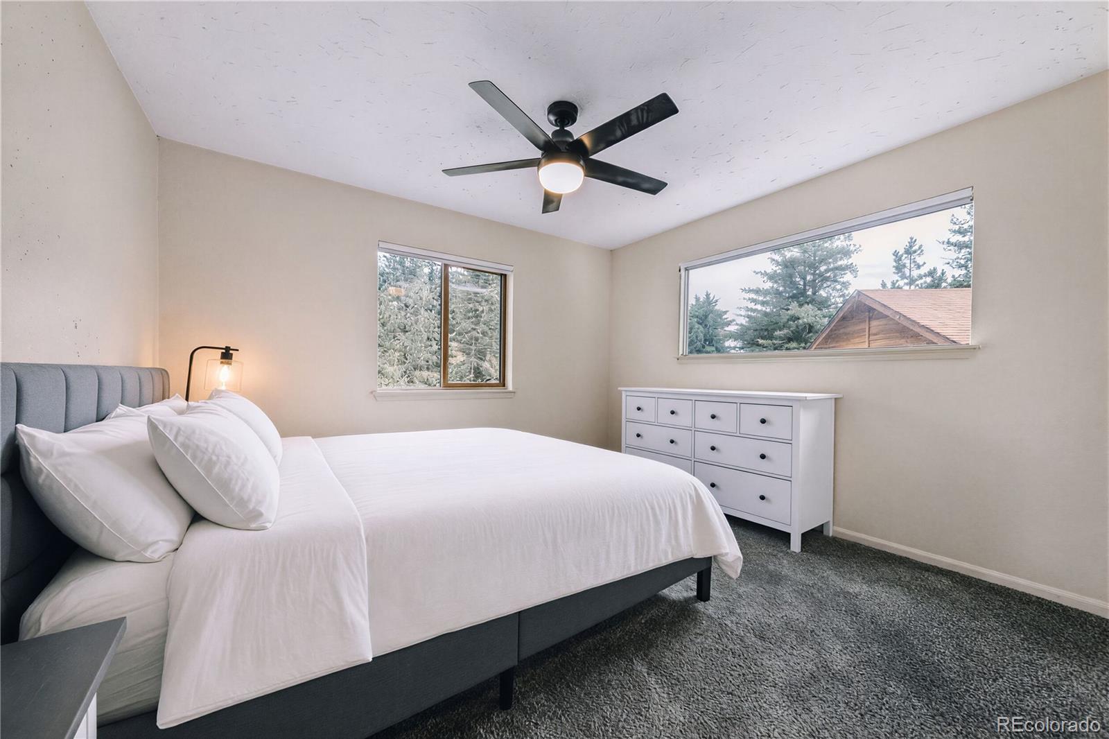 MLS Image #40 for 961  roland drive,bailey, Colorado