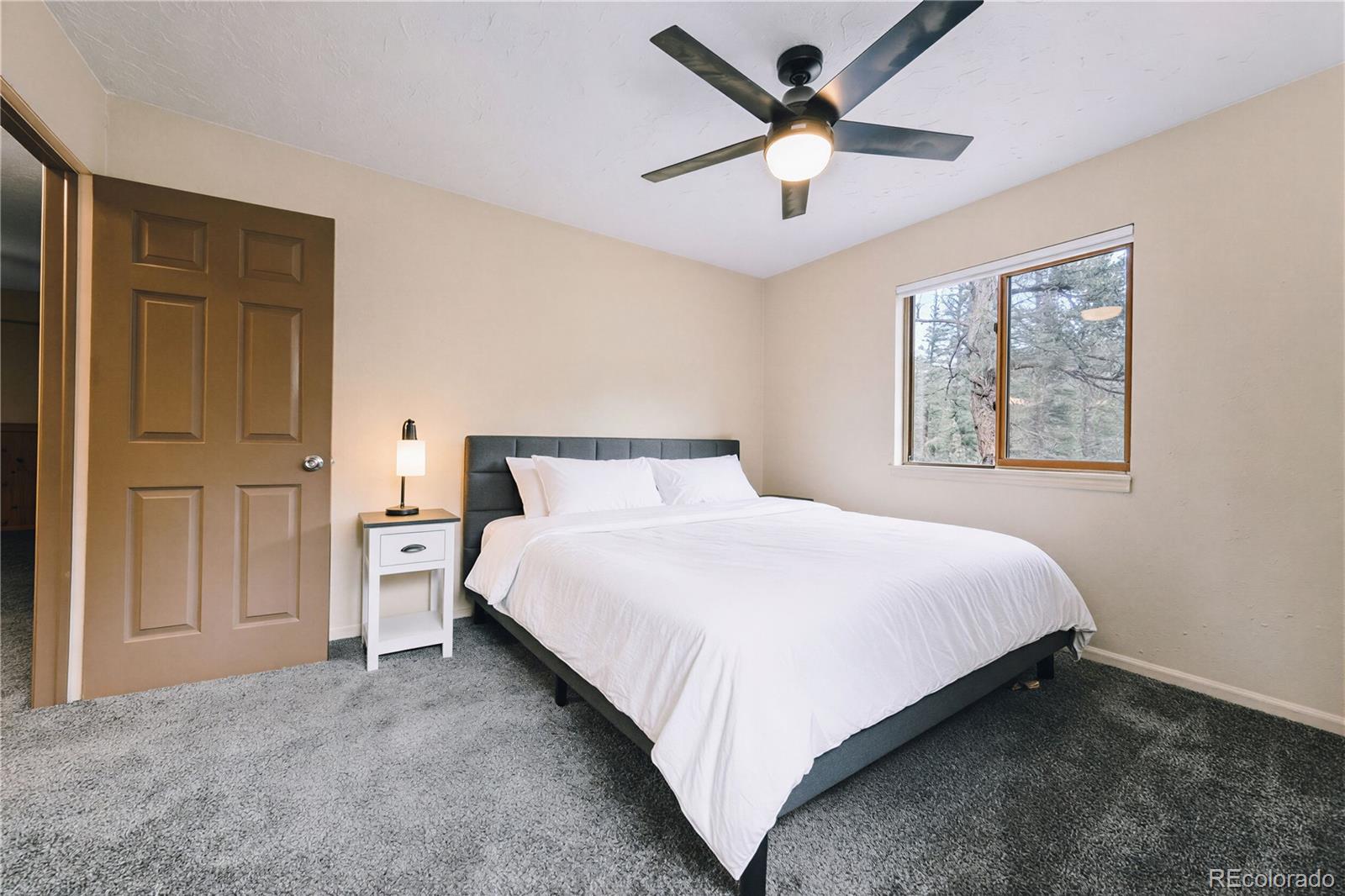 MLS Image #41 for 961  roland drive,bailey, Colorado