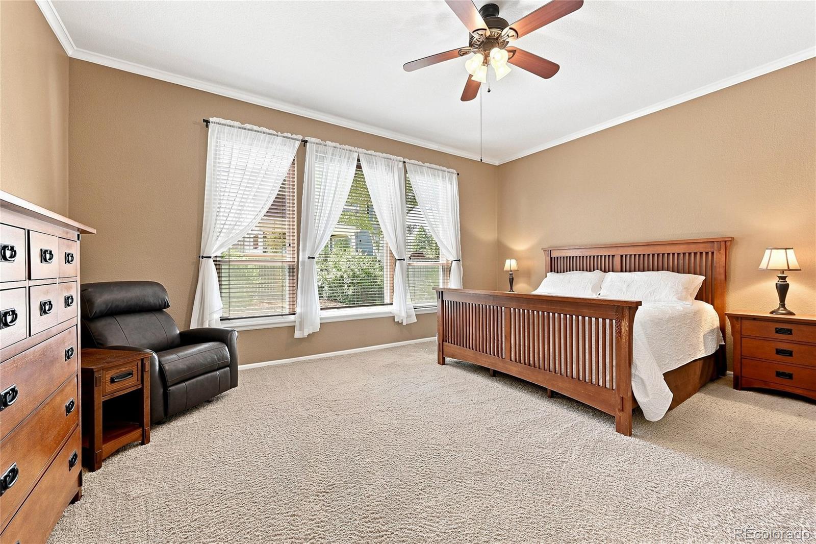 MLS Image #13 for 7542  pyrite way,castle rock, Colorado
