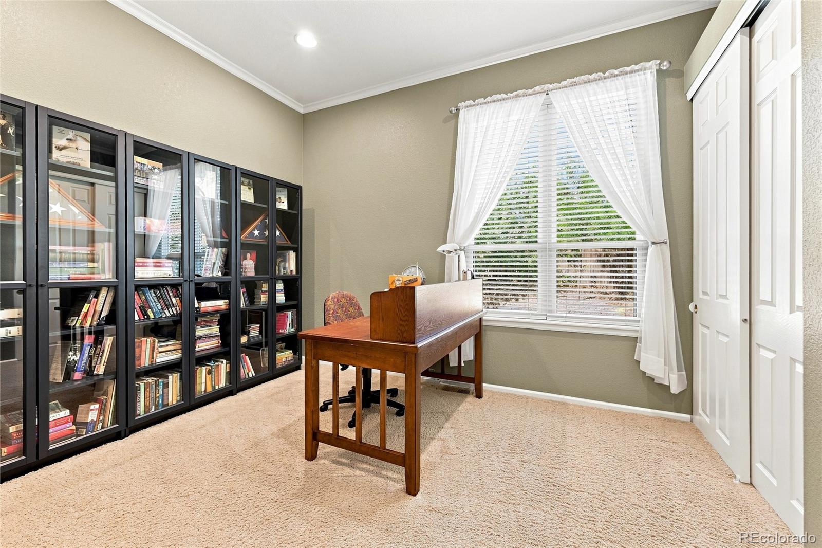 MLS Image #17 for 7542  pyrite way,castle rock, Colorado