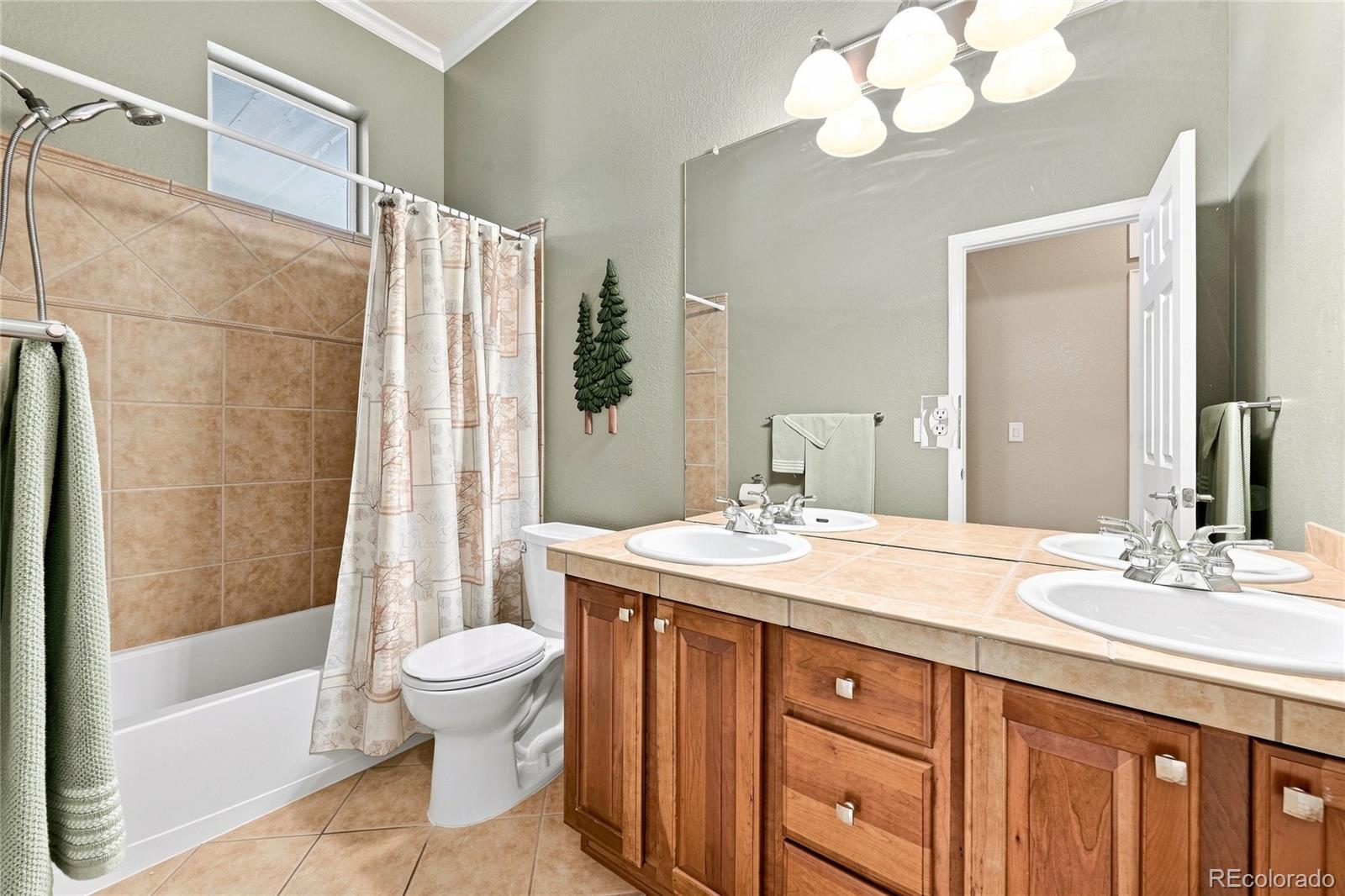 MLS Image #19 for 7542  pyrite way,castle rock, Colorado