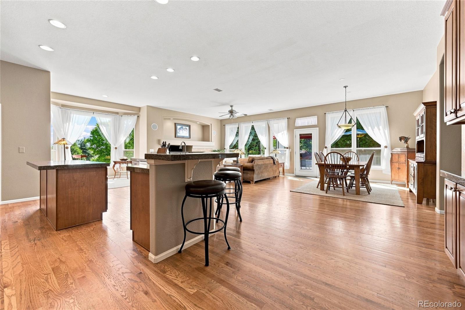 MLS Image #4 for 7542  pyrite way,castle rock, Colorado