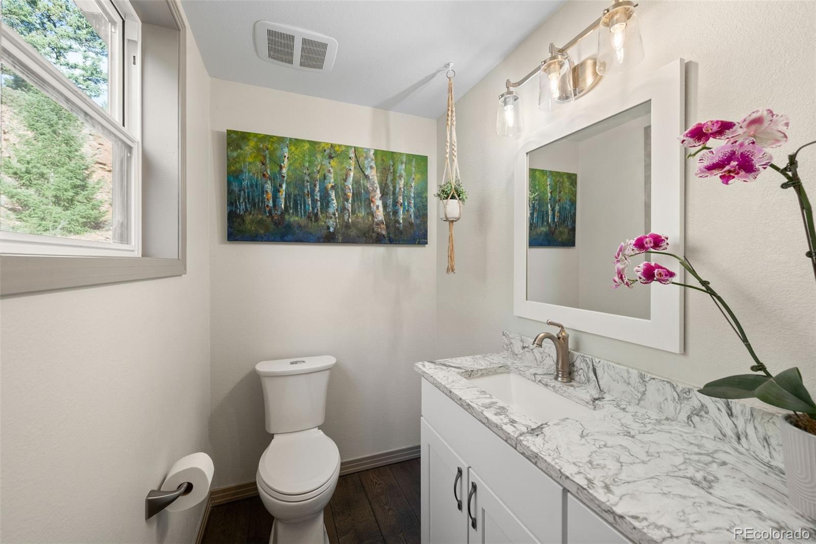 MLS Image #17 for 13328  elsie road,conifer, Colorado