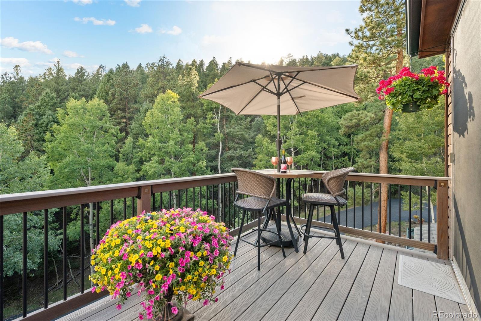 MLS Image #19 for 13328  elsie road,conifer, Colorado