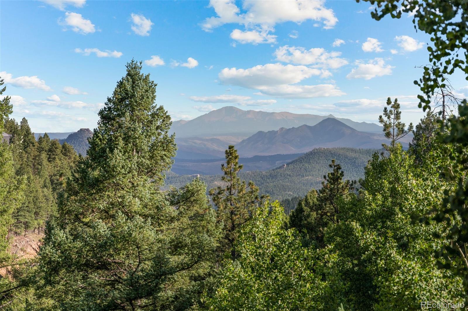 MLS Image #2 for 13328  elsie road,conifer, Colorado