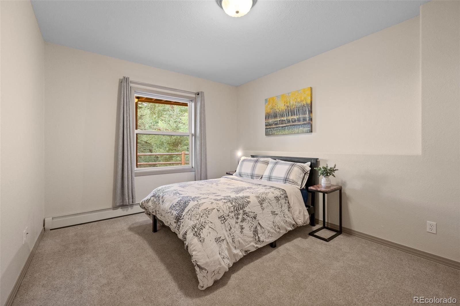 MLS Image #25 for 13328  elsie road,conifer, Colorado
