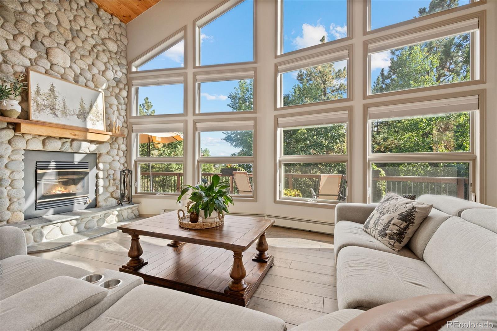 MLS Image #3 for 13328  elsie road,conifer, Colorado