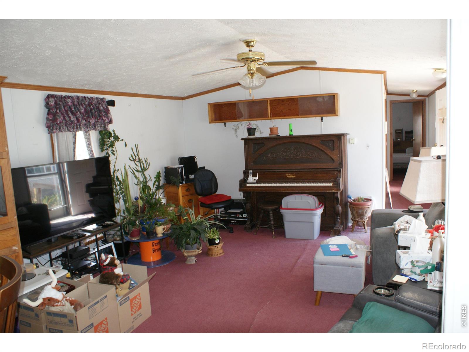 MLS Image #4 for 208  glen ayre street,dacono, Colorado