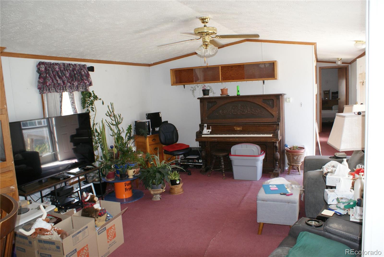 MLS Image #3 for 208  glen ayre street,dacono, Colorado