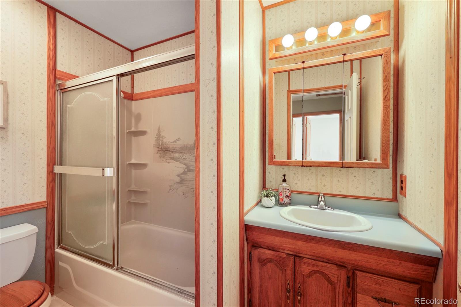 MLS Image #10 for 31645  griffin drive,conifer, Colorado