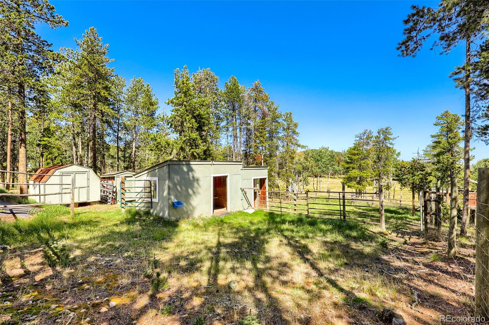 MLS Image #21 for 31645  griffin drive,conifer, Colorado