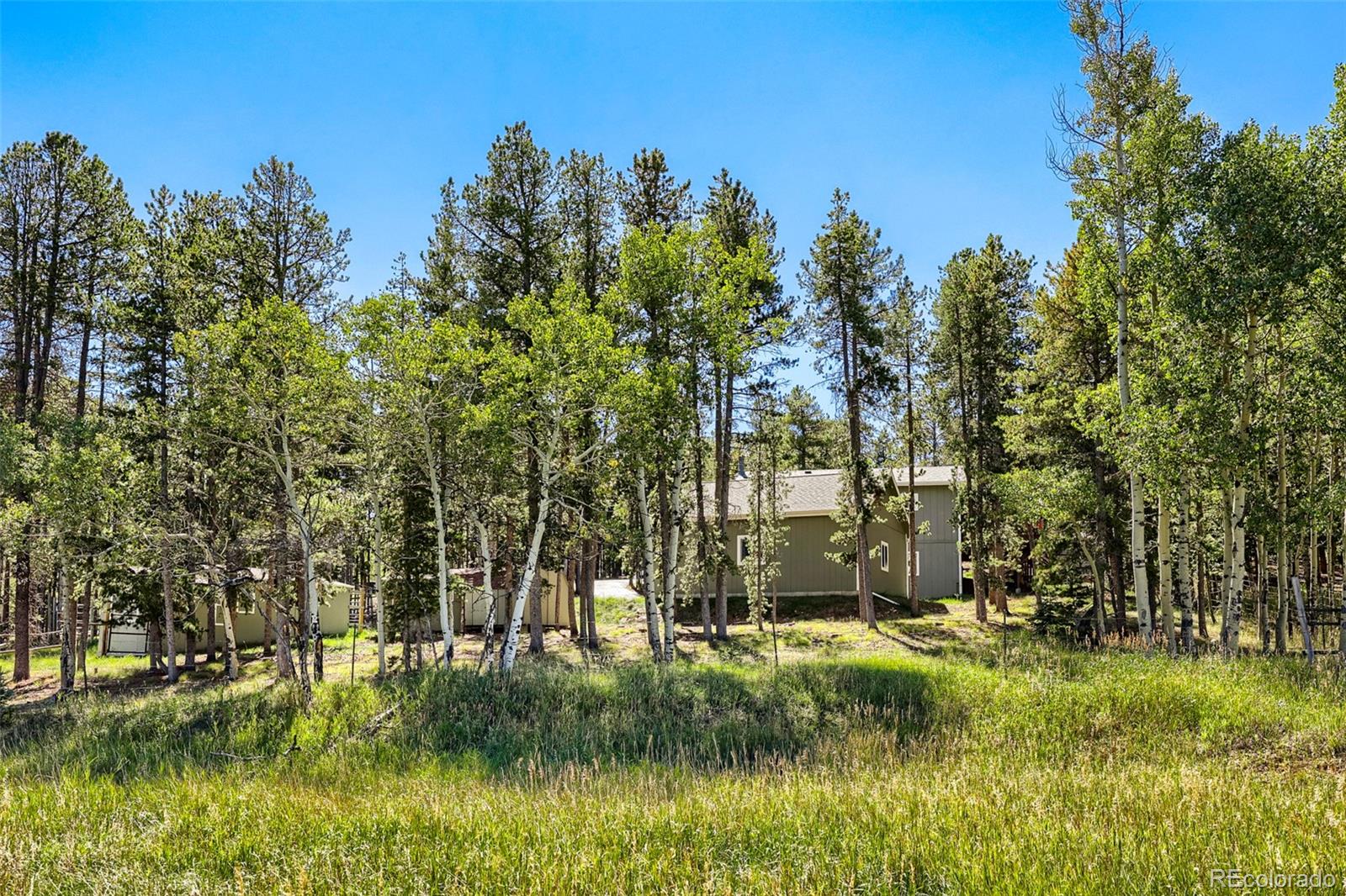 MLS Image #24 for 31645  griffin drive,conifer, Colorado