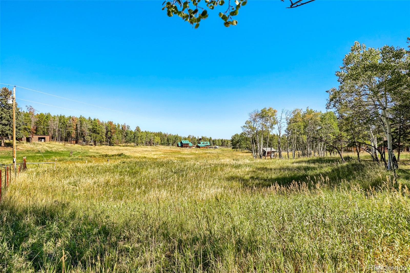 MLS Image #25 for 31645  griffin drive,conifer, Colorado