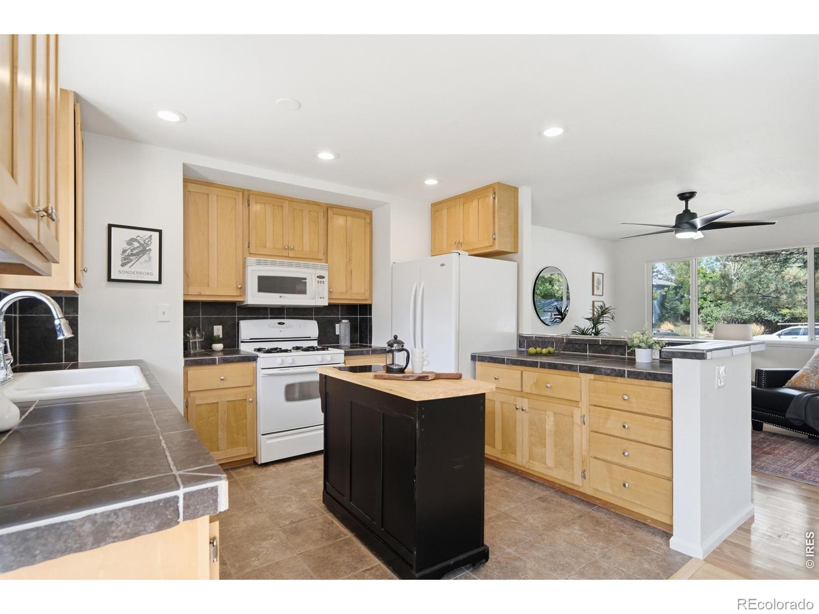 MLS Image #13 for 4101  cork drive,laporte, Colorado