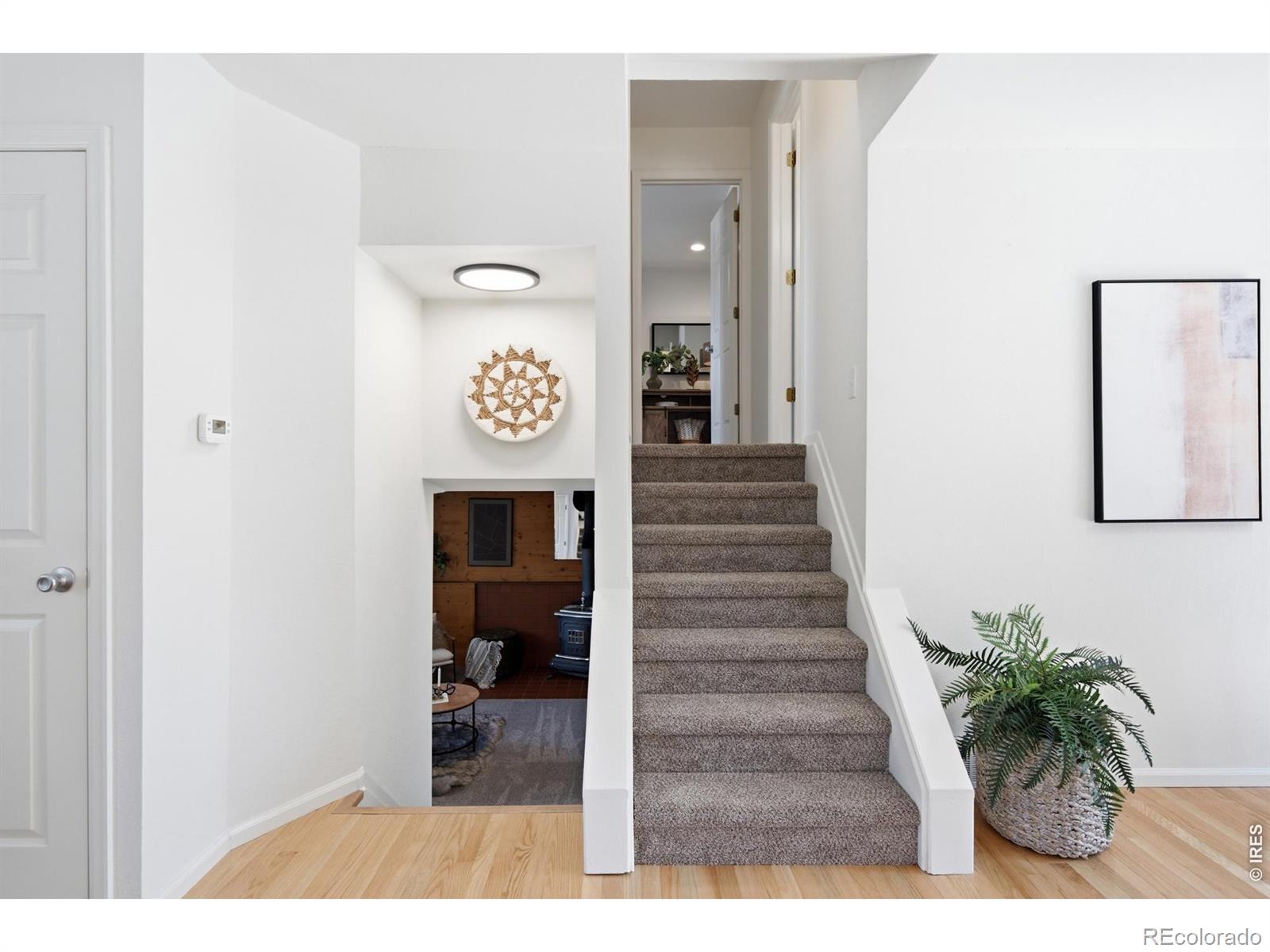 MLS Image #14 for 4101  cork drive,laporte, Colorado