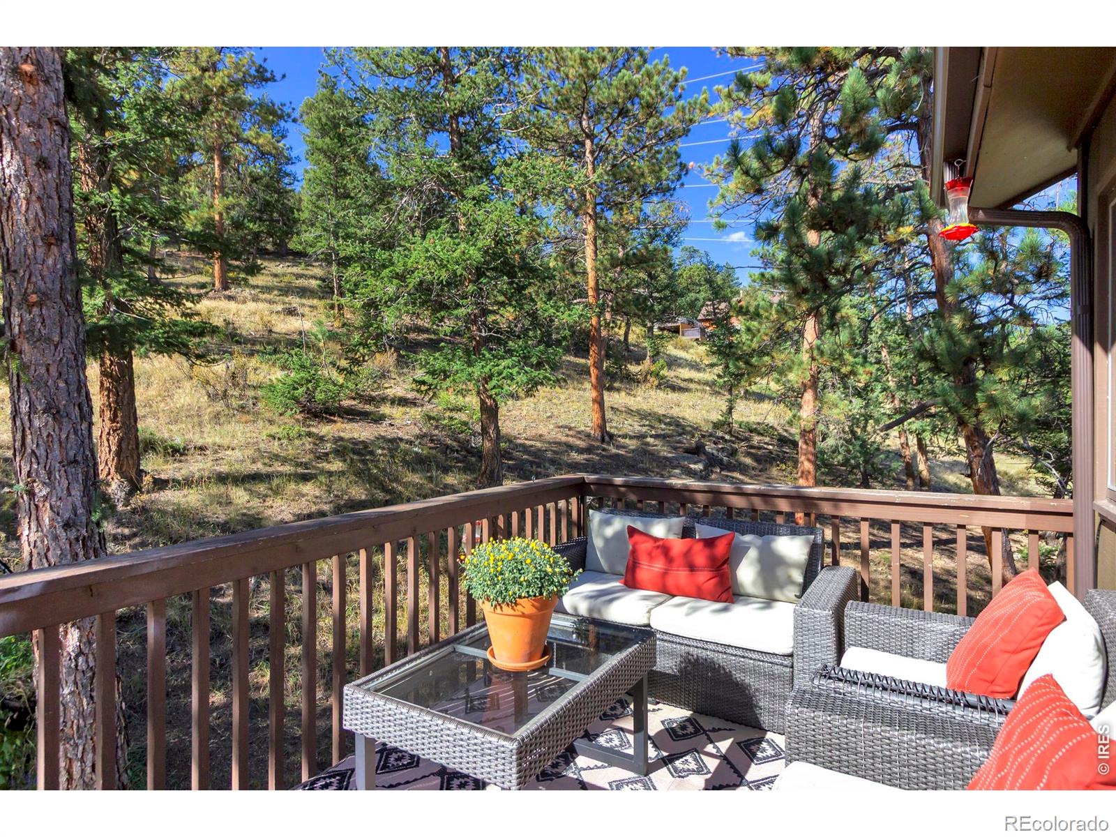 MLS Image #17 for 517  driftwood avenue,estes park, Colorado