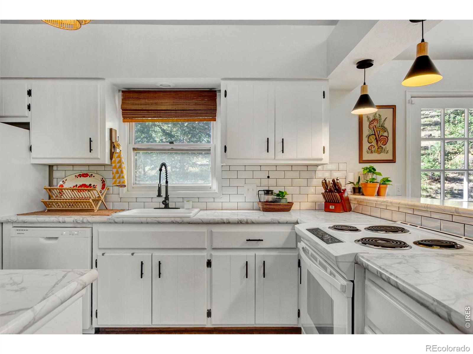 MLS Image #20 for 517  driftwood avenue,estes park, Colorado