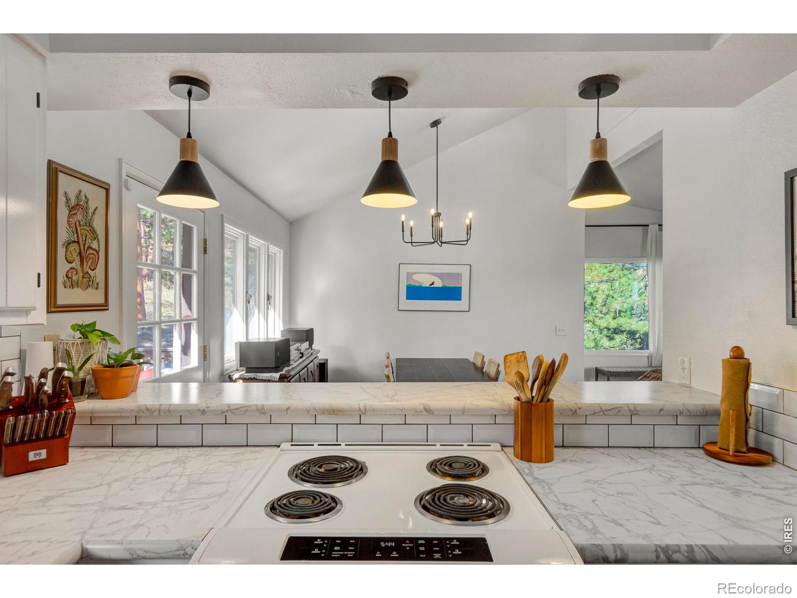 MLS Image #21 for 517  driftwood avenue,estes park, Colorado