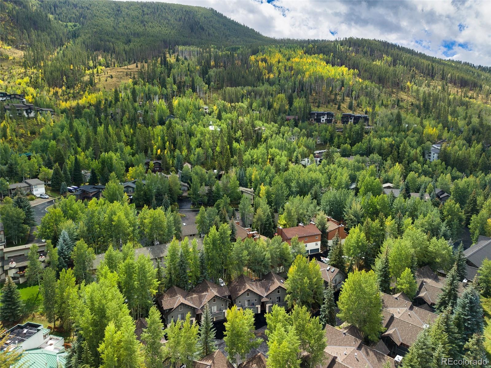 MLS Image #44 for 2897  timber creek drive,vail, Colorado
