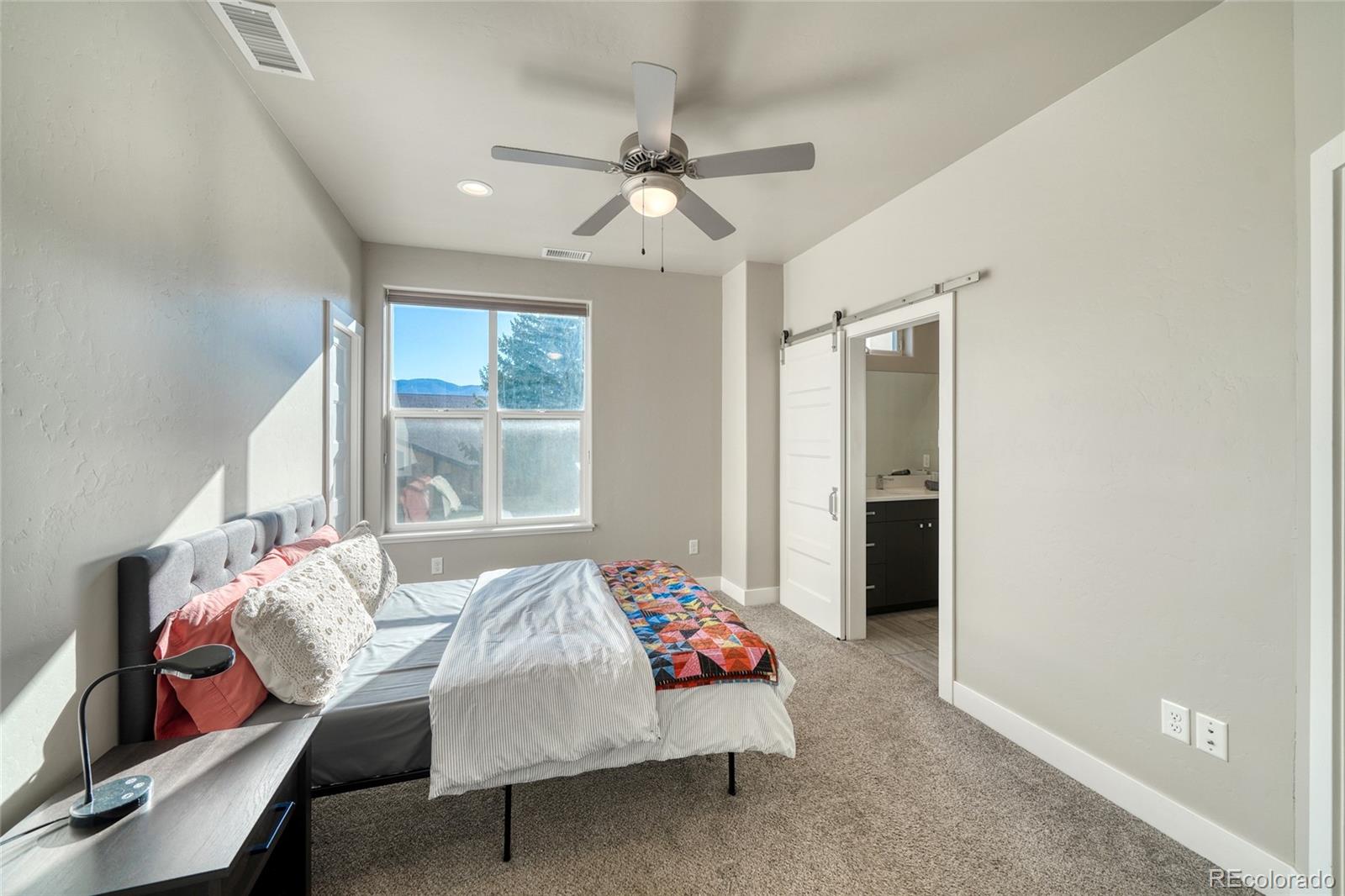MLS Image #17 for 1005  dezi drive,salida, Colorado