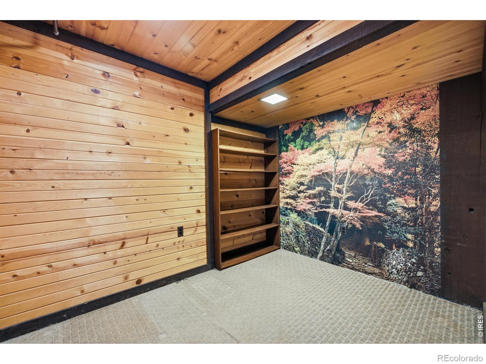 MLS Image #10 for 3531  capulin drive,loveland, Colorado