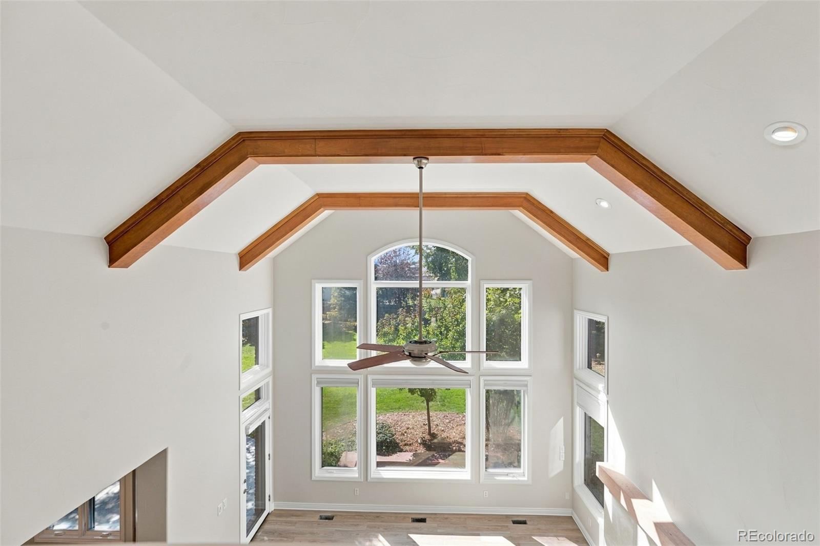 MLS Image #8 for 9  brookhaven trail,littleton, Colorado