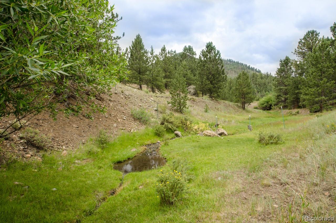 MLS Image #30 for 284  escondido lane,cotopaxi, Colorado