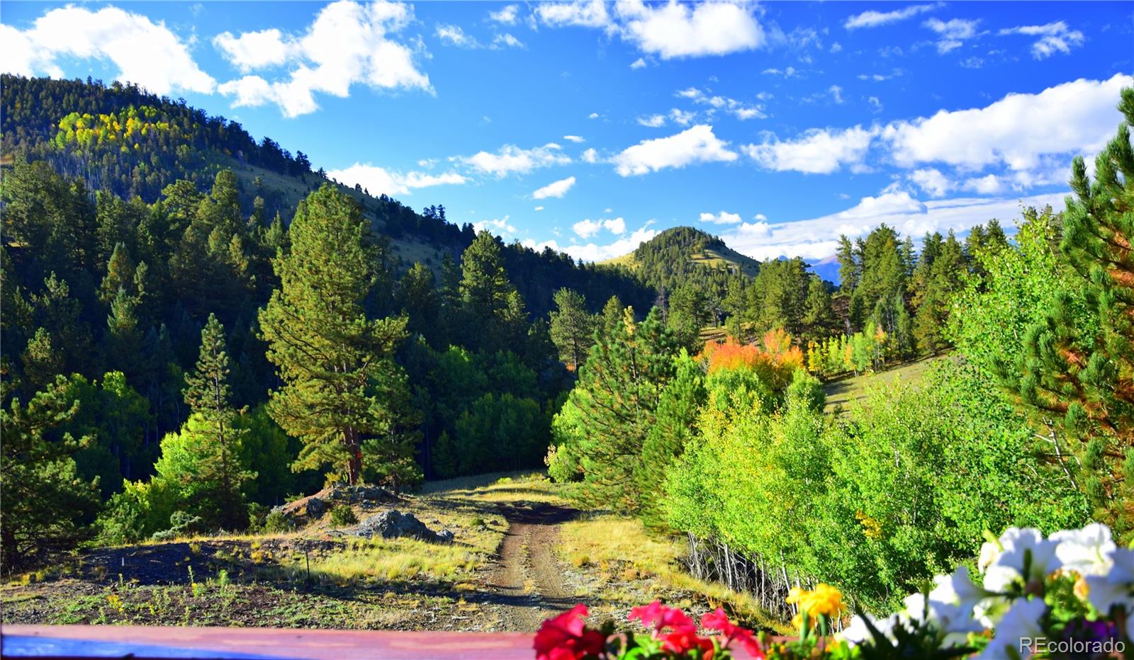 MLS Image #4 for 284  escondido lane,cotopaxi, Colorado