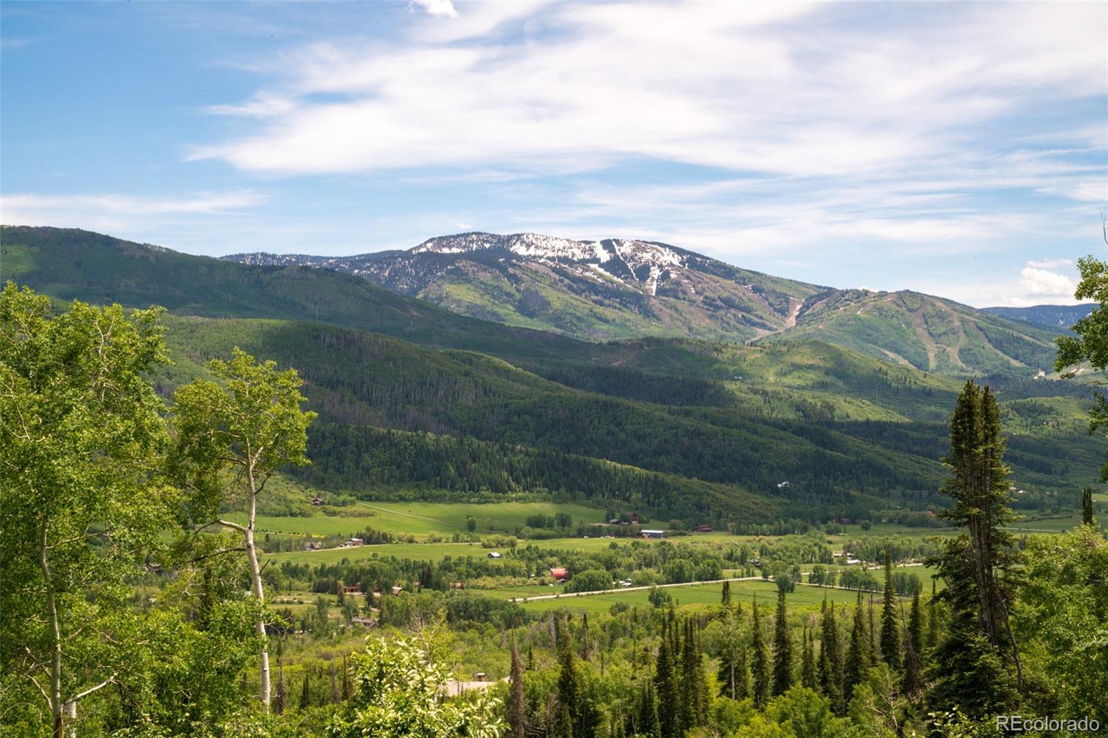 MLS Image #4 for 42185  fern hill road,steamboat springs, Colorado