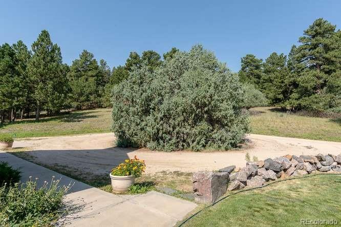 MLS Image #5 for 13915  double tree ranch circle,elbert, Colorado