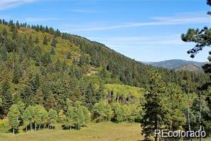 MLS Image #16 for 11715 s maxwell hill road,littleton, Colorado