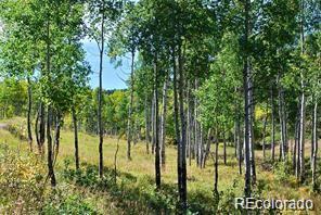 MLS Image #18 for 11715 s maxwell hill road,littleton, Colorado