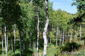 MLS Image #21 for 11715 s maxwell hill road,littleton, Colorado
