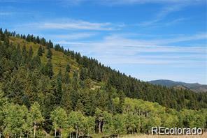 MLS Image #24 for 11715 s maxwell hill road,littleton, Colorado