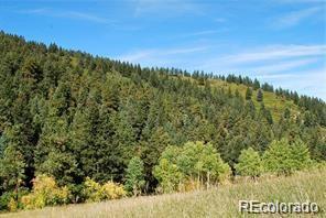 MLS Image #25 for 11715 s maxwell hill road,littleton, Colorado