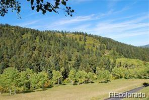 MLS Image #26 for 11715 s maxwell hill road,littleton, Colorado