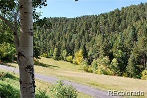 MLS Image #28 for 11715 s maxwell hill road,littleton, Colorado